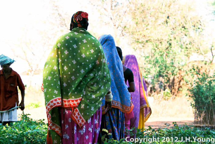 Women leaving the village meeting